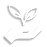 Icono de una mano sosteniendo una planta
