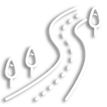 Icono de una carretera con arboles a los lados
