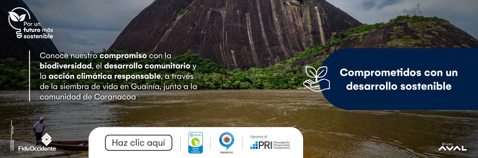 informe sostenibilidad 2024